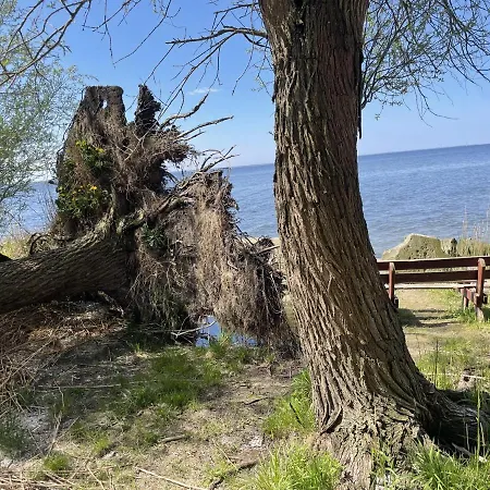Villasleeps23-gaden-parking-partiesok-lake Kopice (West Pomeranian)